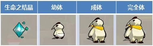 艾尔之光最新宠物驯养攻略