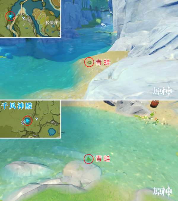 原神蛙类位置大全(青蛙、蓝蛙、泥蛙在哪)