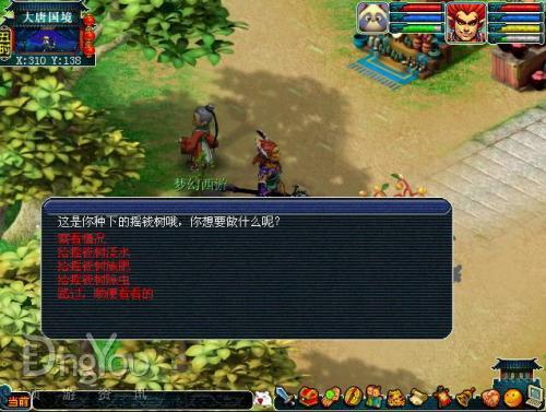 照顾树苗