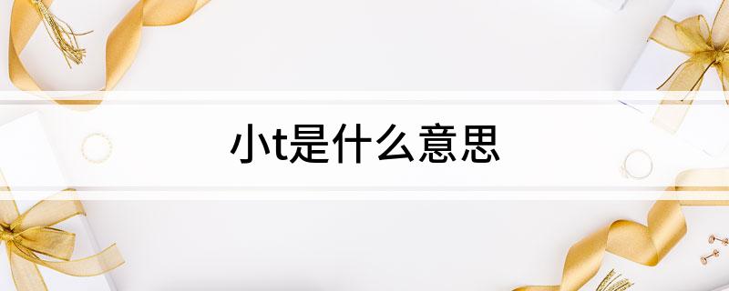 小t是什么意思