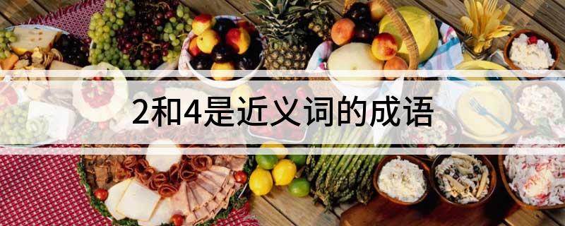 2和4是近义词的成语
