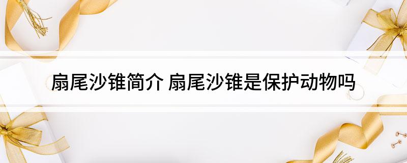 扇尾沙锥简介(扇尾沙锥是保护动物吗)