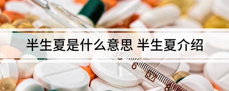 半生夏是什么意思(半生夏介绍)