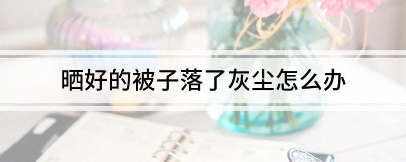 晒好的被子落了灰尘怎么办