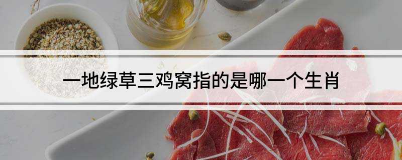一地绿草三鸡窝指的是哪一个生肖