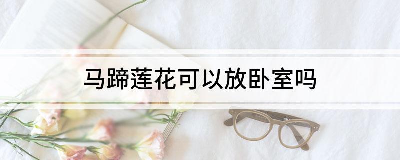 马蹄莲花可以放卧室吗