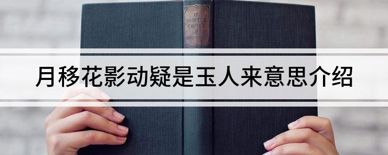 月移花影动疑是玉人来意思介绍