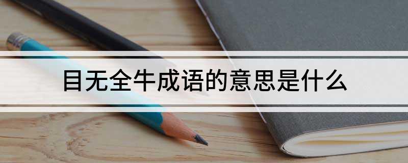 目无全牛成语的意思是什么