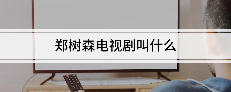 郑树森电视剧叫什么
