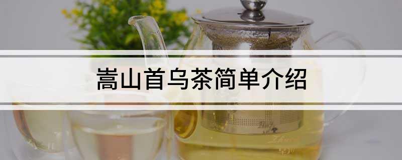 嵩山首乌茶简单介绍