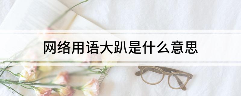网络用语大趴是什么意思