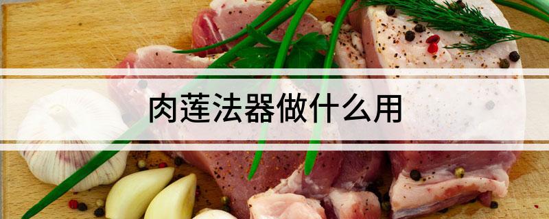 肉莲法器做什么用