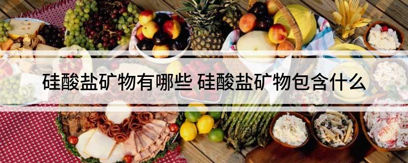 硅酸盐矿物有哪些(硅酸盐矿物包含什么)