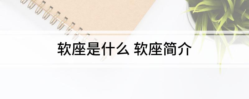 软座是什么(软座简介)