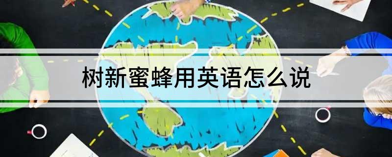 树新蜜蜂用英语怎么说