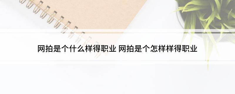 网拍是个什么样得职业(网拍是个怎样样得职业)