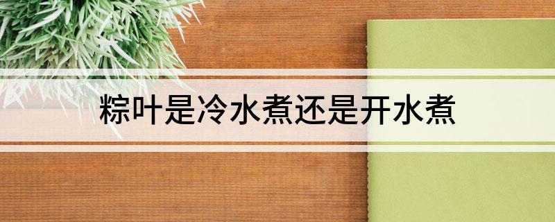 粽叶是冷水煮还是开水煮