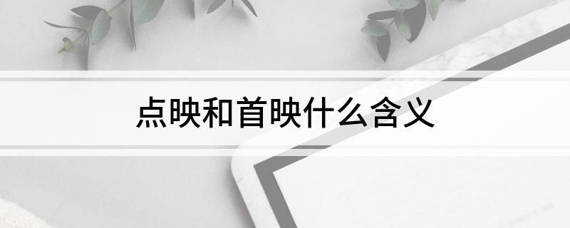 点映和首映什么含义
