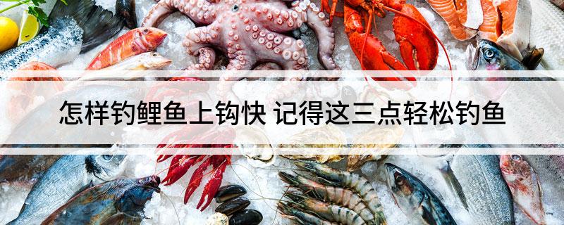 怎样钓鲤鱼上钩快(记得这三点轻松钓鱼)