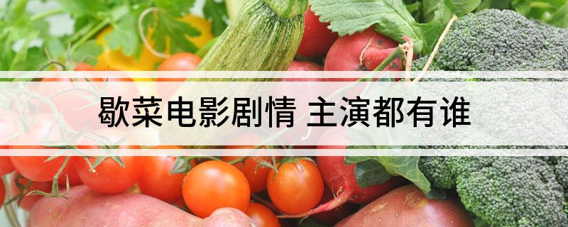 歇菜电影剧情(主演都有谁)