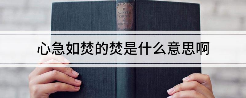 心急如焚的焚是什么意思啊
