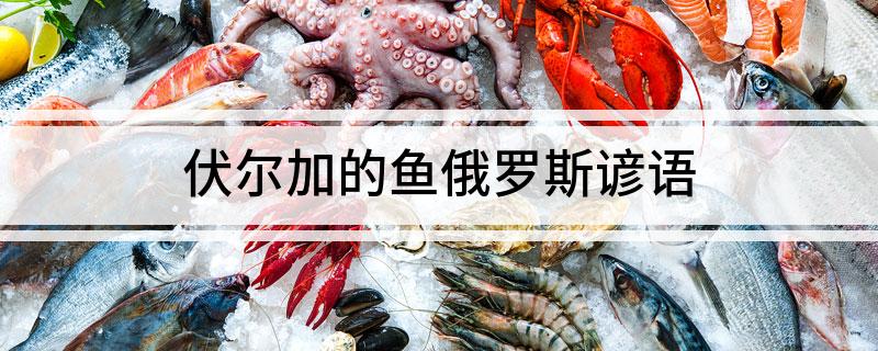 伏尔加的鱼俄罗斯谚语