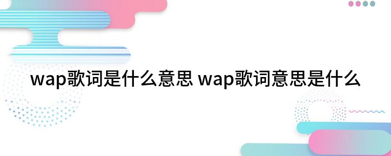 wap歌词是什么意思(wap歌词意思是什么)