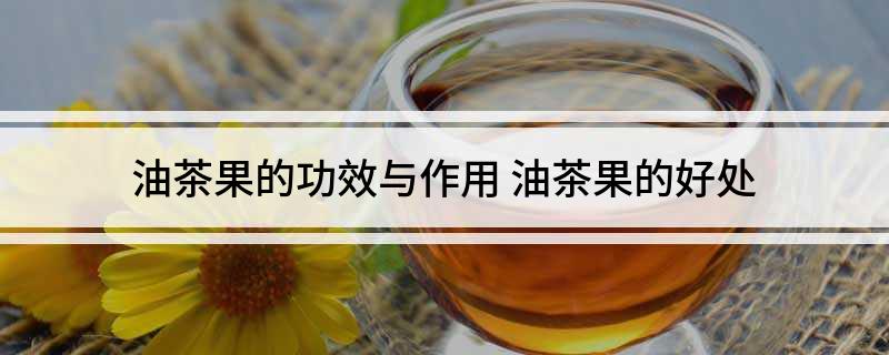 油茶果的功效与作用(油茶果的好处)