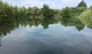 西溪湿地一日游(杭州西溪湿地一日游攻略)