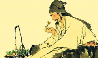 神农氏是谁(神农氏简介)