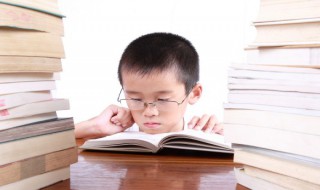 庄子是哪个学派的代表人物(庄子属于哪个学派)