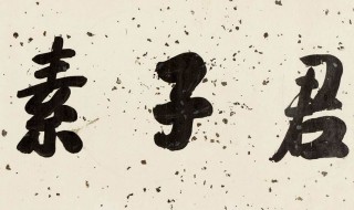 素其位而行意思(素其位而行解析)