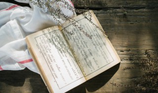 青春少艾是什么意思(青春少艾的意思)