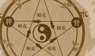 五行相生相克对照表(五行相生相克)
