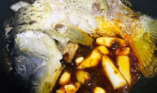 镜鲤鱼的做法(镜鲤鱼的做法是什么)