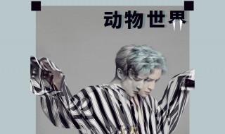 动物世界2上映时间(具体上映时间)