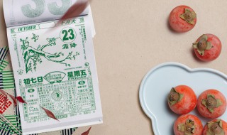 2022年数九从什么时候开始(关于2022年数九从什么时候开始)