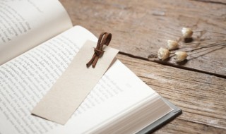 fog是什么意思(fog的解释)