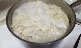 煮饺子怎么煮(煮饺子的方法)