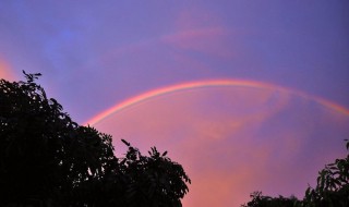 雨过天晴打一生肖(雨过天晴谜底解析)