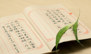人生若只如初见的下一句是什么(人生若只如初见原文及译文欣赏)