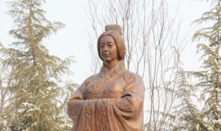 秦宣太后的历史简介(秦宣太后简介)