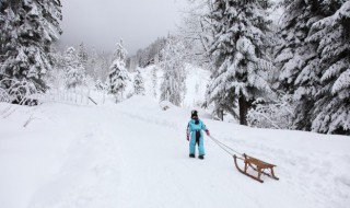 哈尔滨雪乡在哪里(哈尔滨雪乡在哪个地方)