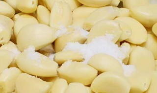野生小蒜怎么腌好吃(野生小蒜如何腌好吃)