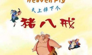 天上掉下个猪八戒歌词(天上掉下个猪八戒主题曲歌词)