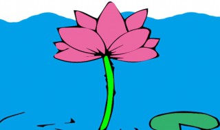 池塘怎么画(池塘简笔画教程)