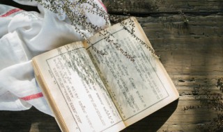 驱组词(驱如何组词)