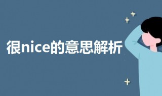 很nice的意思是什么(很nice的意思解析)