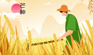 24节气顺口溜大全(24节气顺口溜有哪些)