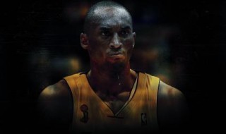 NBA一共有多少球队?各叫什么?(NBA东西部各有什么球队)